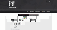 Desktop Screenshot of itprofessional-ada.com
